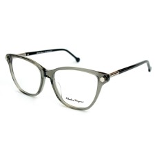 Salvatore Ferragamo SF1131 C05