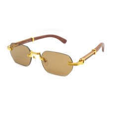 Cartier CT0362S 003M